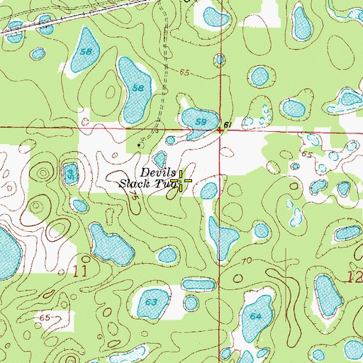 Topographic Map of Devils Slack Tub, FL