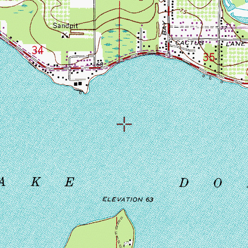 Topographic Map of Lake Dora, FL
