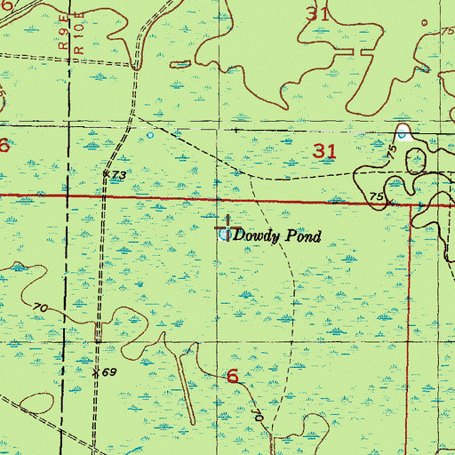 Topographic Map of Dowdy Pond, FL