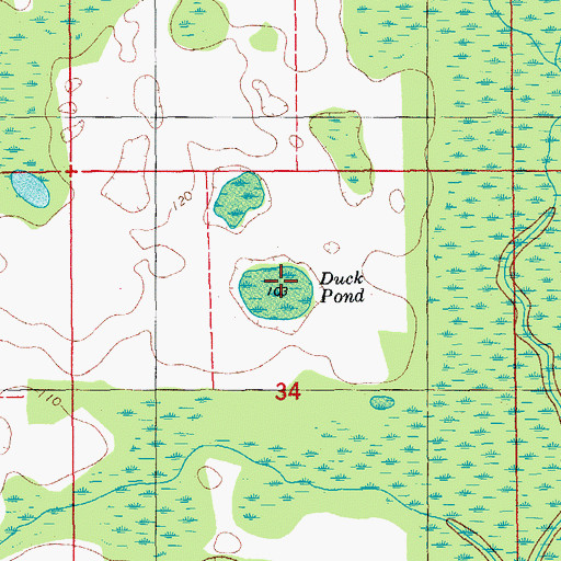 Topographic Map of Duck Pond, FL