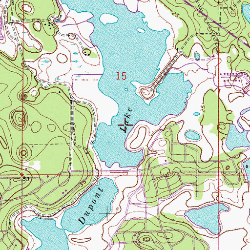 Topographic Map of Dupont Lake, FL