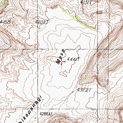 Topographic Map of Chikapanagi Mesa, AZ