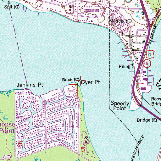 Topographic Map of Dyer Point, FL