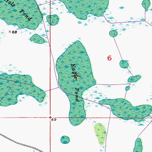 Topographic Map of Eagle Pond, FL