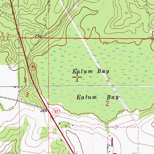 Topographic Map of Ealum Bay, FL
