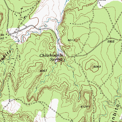 Topographic Map of Chilchinbito Spring, AZ