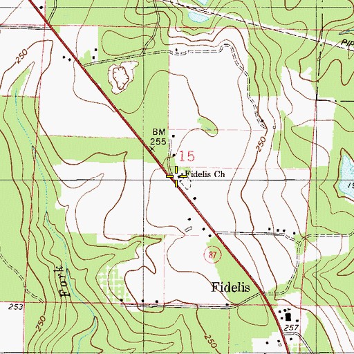 Topographic Map of Fidelis Church, FL