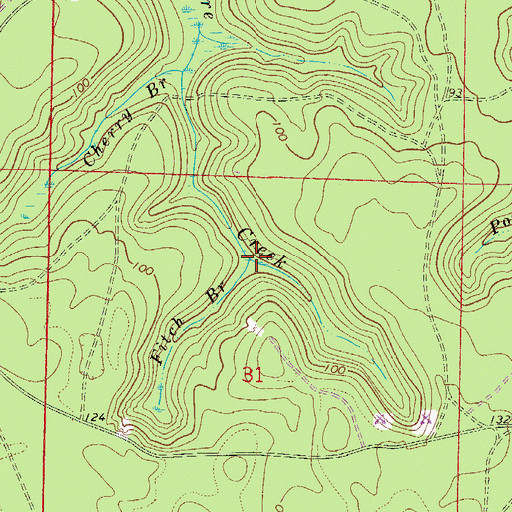 Topographic Map of Fitch Branch, FL