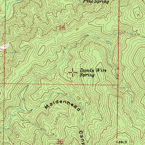 Topographic Map of Dandy Wire Spring, AZ