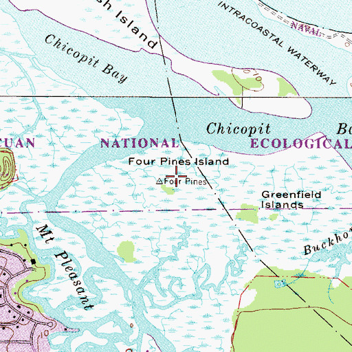 Topographic Map of Four Pines Island, FL