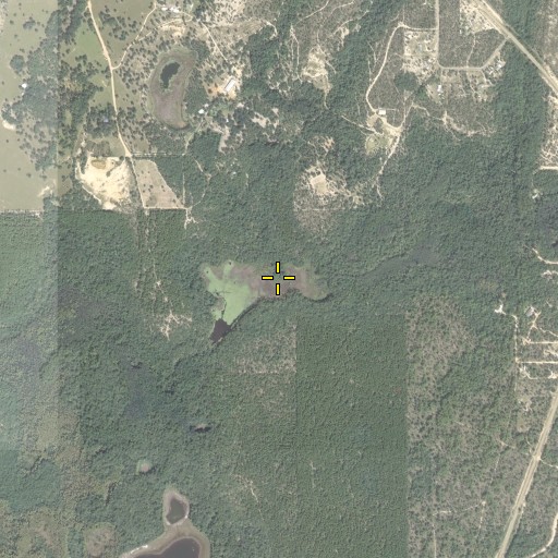 Aerial/Satellite Image of Gap Branch, FL