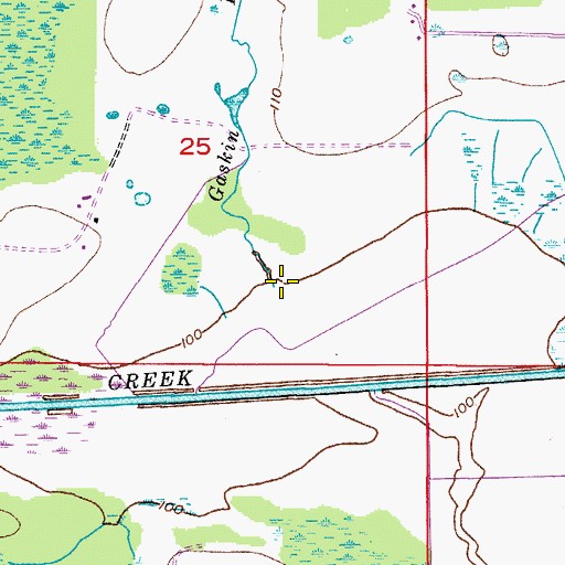 Topographic Map of Gaskin Branch, FL