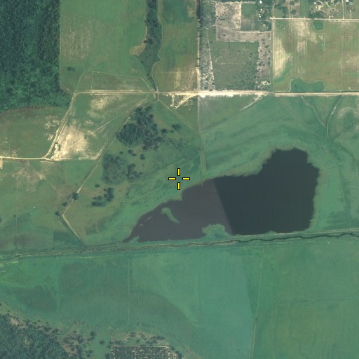 Aerial/Satellite Image of Gaskin Branch, FL
