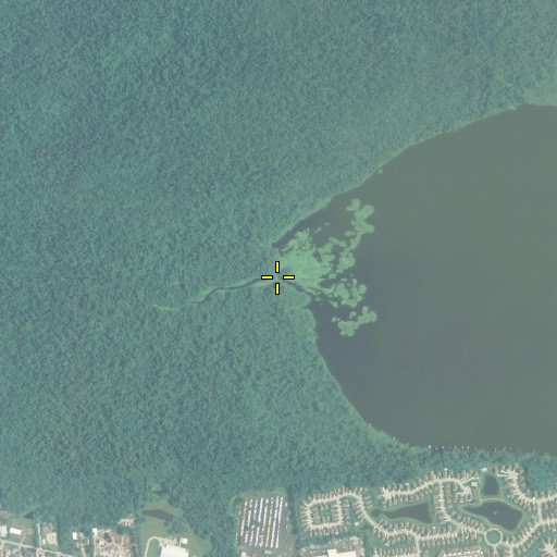 Aerial/Satellite Image of Gee Creek, FL