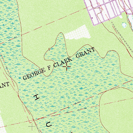 Topographic Map of George F Clark Grant, FL