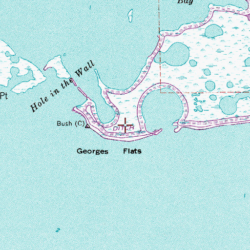 Topographic Map of Georges Flats, FL