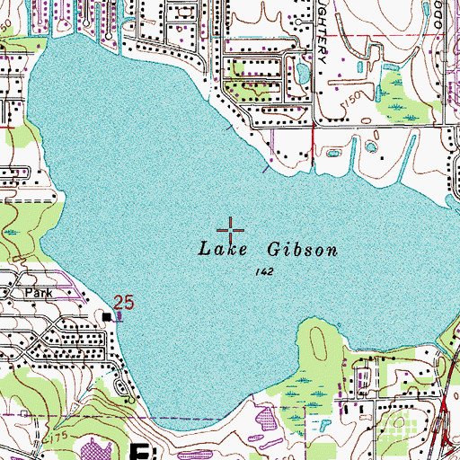Topographic Map of Lake Gibson, FL