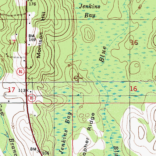 Topographic Map of Gopher Ridge, FL