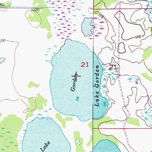 Topographic Map of Lake Gordon, FL