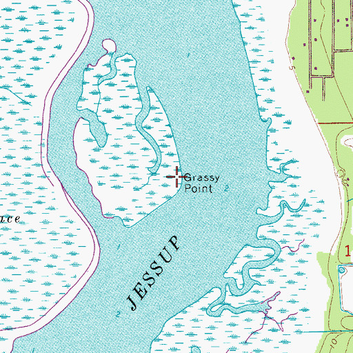 Topographic Map of Grassy Point, FL