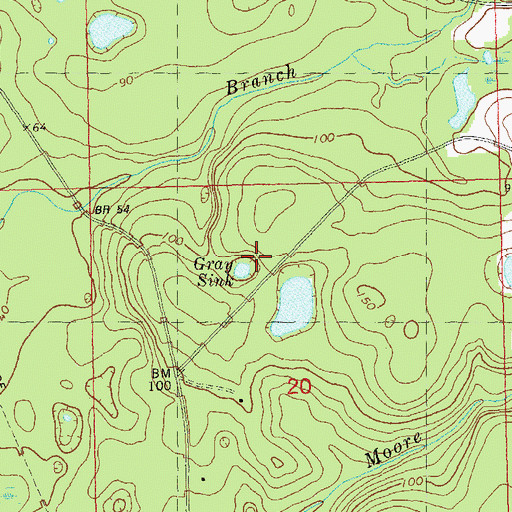 Topographic Map of Gray Sink, FL