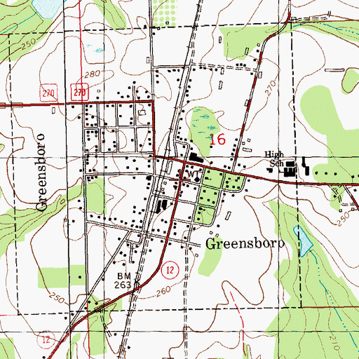 Topographic Map of Greensboro, FL