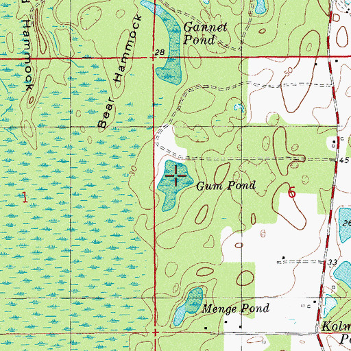 Topographic Map of Gum Pond, FL