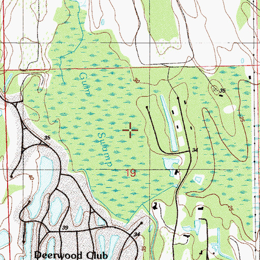 Topographic Map of Gum Swamp, FL