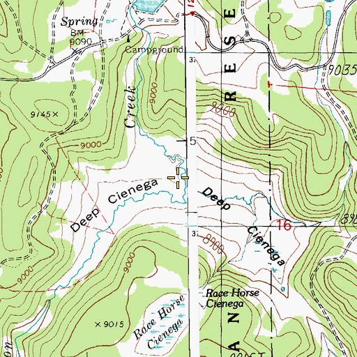 Topographic Map of Deep Cienega, AZ