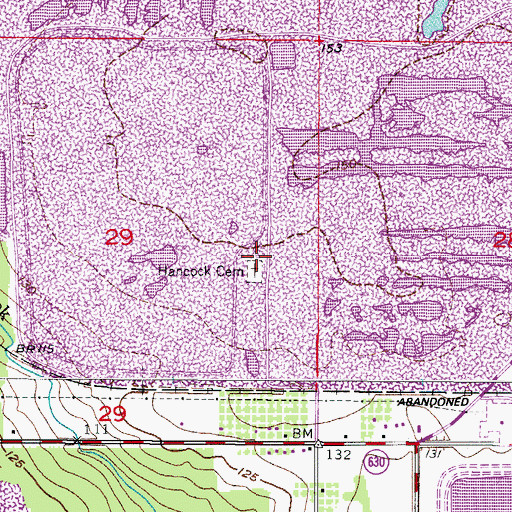Topographic Map of Hancock Cemetery, FL