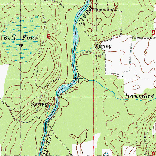 Topographic Map of Hansford Branch, FL