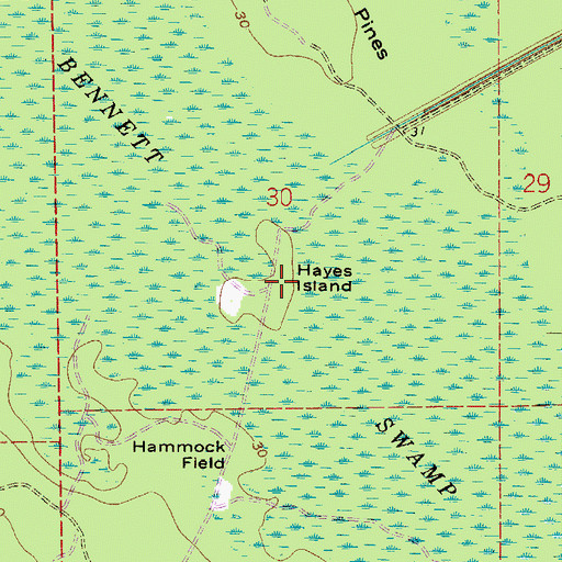 Topographic Map of Hayes Island, FL