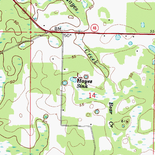 Topographic Map of Hayes Sink, FL