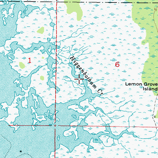 Topographic Map of Higgenbotham Creek, FL