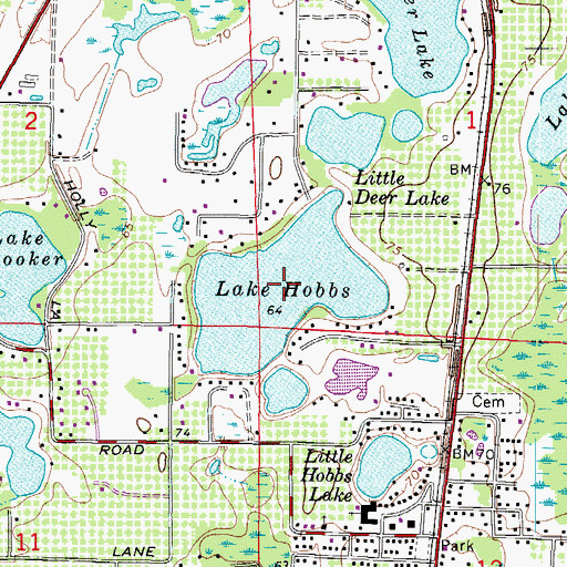 Topographic Map of Lake Hobbs, FL