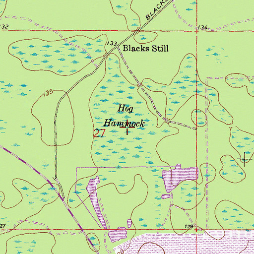Topographic Map of Hog Hammock, FL