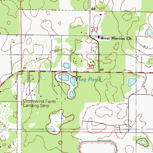 Topographic Map of Hog Pond, FL