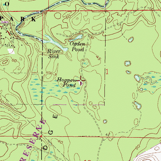 Topographic Map of Hogpen Pond, FL