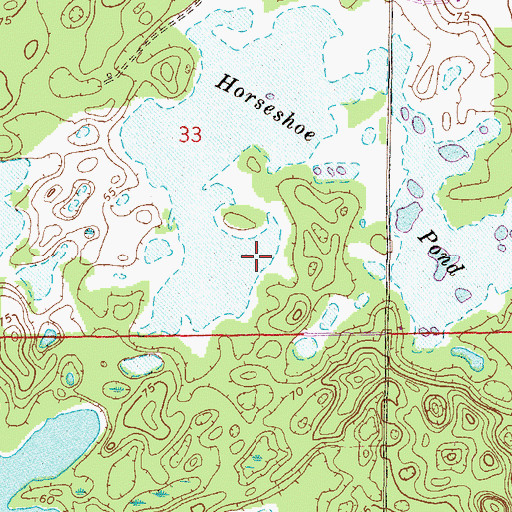 Topographic Map of Horseshoe Pond, FL