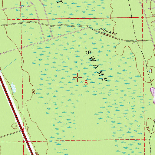 Topographic Map of Hulett Swamp, FL