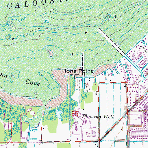 Topographic Map of Iona Point, FL
