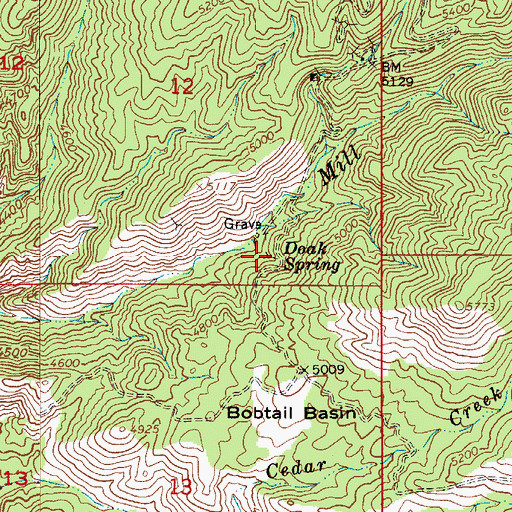 Topographic Map of Doak Spring, AZ