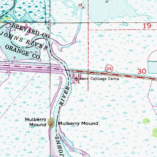 Topographic Map of Lane Cabbage Camp, FL
