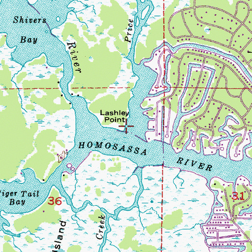 Topographic Map of Lashley Point, FL