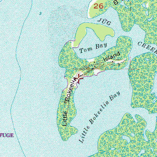 Topographic Map of Little Bokeelia Island, FL