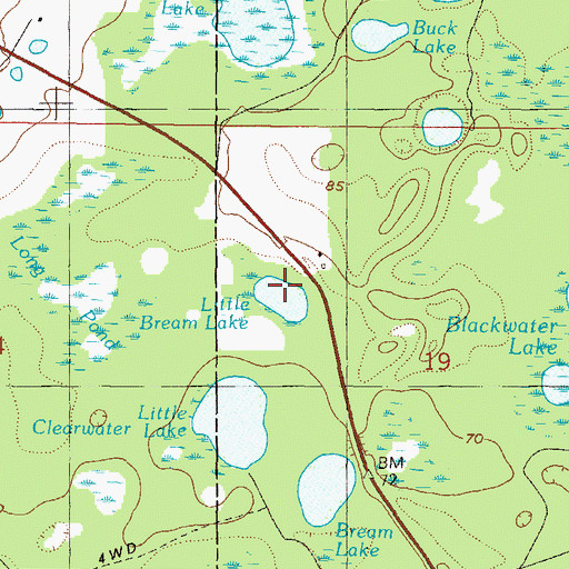 Topographic Map of Little Bream Lake, FL