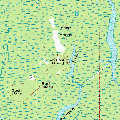 Topographic Map of Live Oak Island, FL
