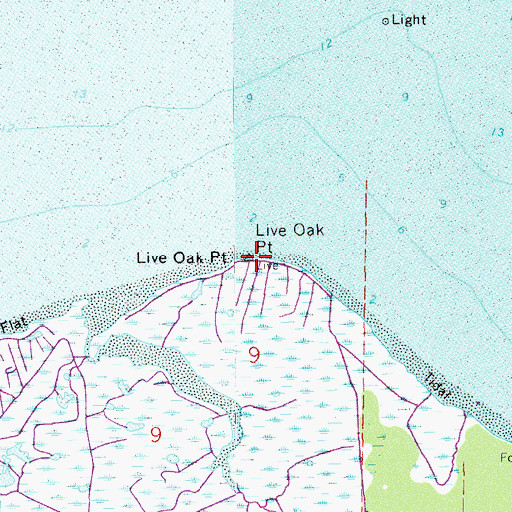 Topographic Map of Live Oak Point, FL