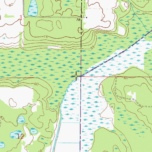 Topographic Map of Lochloosa Slough, FL