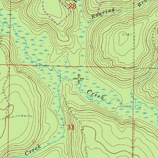 Topographic Map of Long Branch, FL